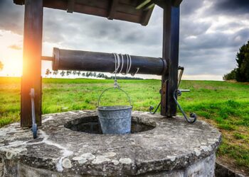 LFI veut réduire la France à sa seule carte vitale