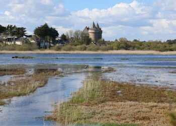 Morbihan. « Océans de savoirs » pour cette Fête de la science 2024 – Ouest-France