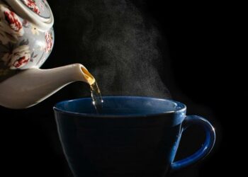 Viande, chocolat… Des chiens empoisonnés par des aliments laissés dans des parcs de Bordeaux – Ouest-France