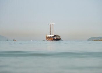 « Je ne savais plus avancer, là c’est un miracle », un traitement révolutionnaire contre la maladie de Parkinson développé au CHU de Lille – France 3 Régions