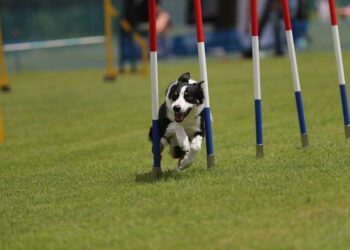 Le slalom hommes, la dernière chance de la France aux Mondiaux de Saalbach – L’Équipe