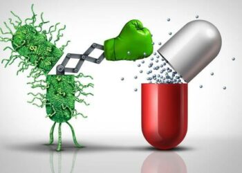 Antibiorésistance : la France confirme son engagement dans la démarche One Health – VIDAL