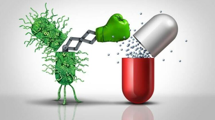 Antibiorésistance : la France confirme son engagement dans la démarche One Health – VIDAL Antibiorésistance : la France confirme son engagement dans la démarche One Health – VIDAL