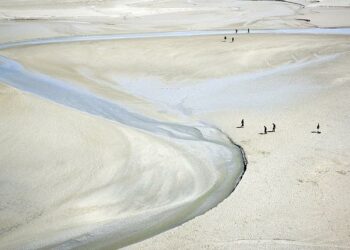 Il n’y aura pas de fusion entre Atout France et Business France – L’Echo Touristique Il n’y aura pas de fusion entre Atout France et Business France – L’Echo Touristique