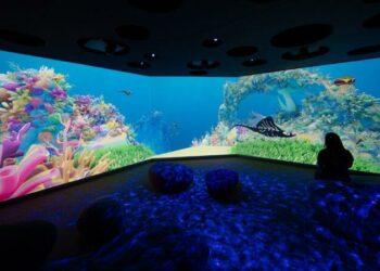 Océanopolis fête la science hors piste fin septembre à Brest – Ouest-France