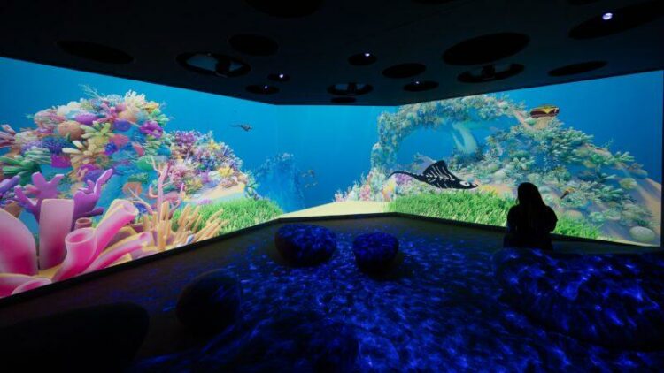 Océanopolis fête la science hors piste fin septembre à Brest – Ouest-France