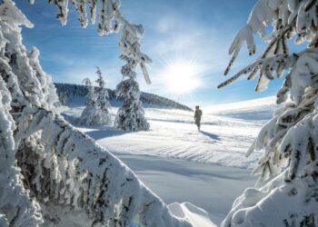 La neige annoncée dans le Rhône et à Lyon : voici où et quand les flocons doivent tomber – actu.fr