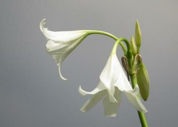 « Le secteur associatif est très inquiet » : à Paris, les personnes à la rue sont toujours aussi nombreuses – France Inter