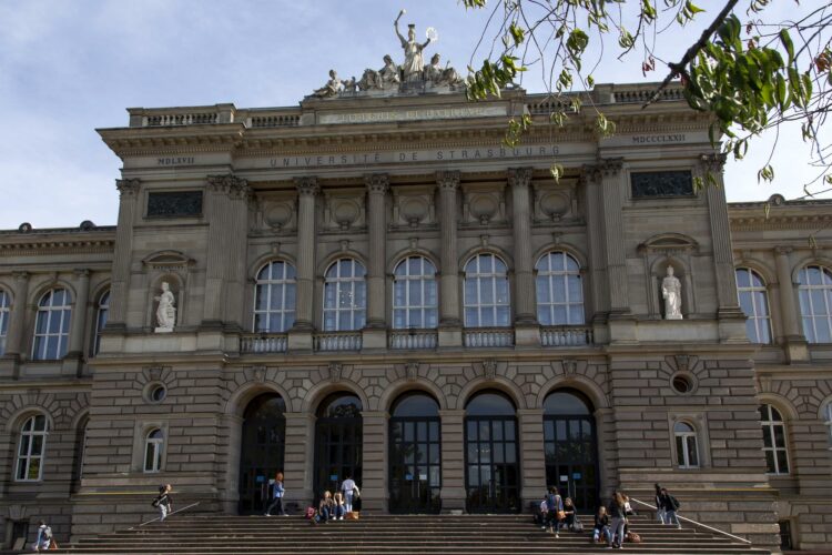 Une plainte déposée par l’Université de Strasbourg après la circulation d’un « jeu de cartes antisémite » et « raciste » – France 3 Régions