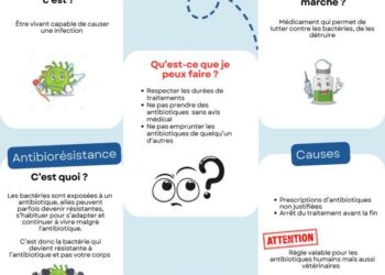 « Une technologie prometteuse » : antibiorésistance, antibiotiques et Damoclès Diagnostics au cœur d’un reportage de France 3 Limousin – Université de Limoges