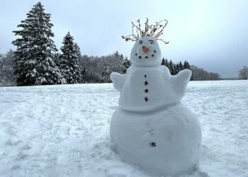 Risque de neige à Paris et en Île-de-France ce vendredi : à quoi faut-il s’attendre ? – Sortiraparis