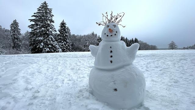 Risque de neige à Paris et en Île-de-France ce vendredi : à quoi faut-il s’attendre ? – Sortiraparis