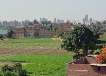 PODCAST : Anwar Dahab, directeur général de Dell Technologies France et Marc Deloger, responsable de la plateforme bioinformatique de Gustave Roussy – 05/11 – BFM Business PODCAST : Anwar Dahab, directeur général de Dell Technologies France et Marc Deloger, responsable de la plateforme bioinformatique de Gustave Roussy – 05/11 – BFM Business