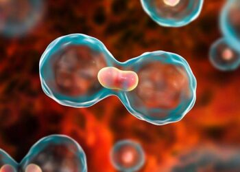 Contre le cancer, le CHU de Nantes intègre l’intelligence artificielle – Ouest-France