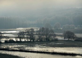 Lorraine Daston, en toute objectivité – France Culture Lorraine Daston, en toute objectivité – France Culture