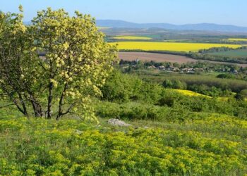 Cédric Villani : « La science avance, mais la politique patine » – France Inter Cédric Villani : « La science avance, mais la politique patine » – France Inter