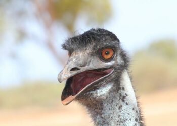 Harcèlement et souffrance au travail : la justice saisie après des signalements à l’Agence France presse | France Inter – France Inter