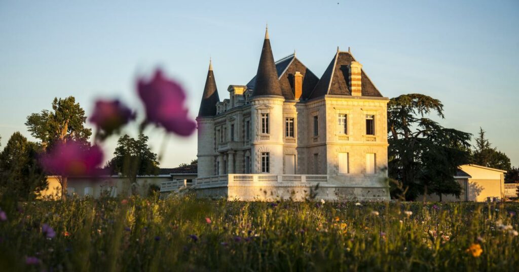 France: le vignoble de Bordeaux connaît sa plus faible récolte depuis 1991 – ici beyrouth