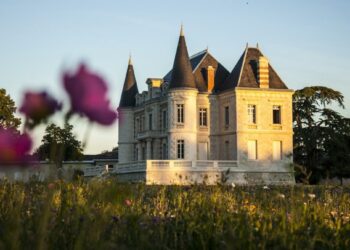 France: le vignoble de Bordeaux connaît sa plus faible récolte depuis 1991 – ici beyrouth