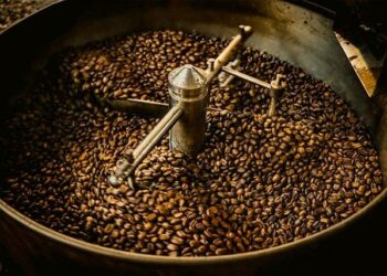 Île-de-France Business: À quoi s’attendre avec l’IA ? – 14/01 – BFM Paris Ile-de-France