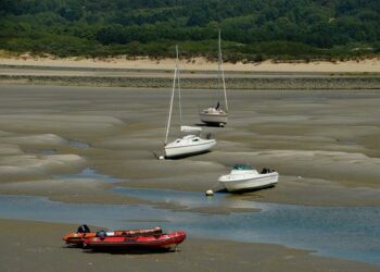 Neuf personnes s’évadent du centre de rétention administrative de Nice – France 3 Régions Neuf personnes s’évadent du centre de rétention administrative de Nice – France 3 Régions