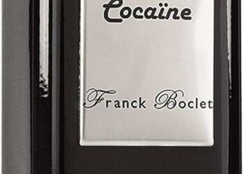 Roissy: 240kg de cocaïne saisis à l’aéroport Charles de Gaulle, cinq suspects présentés à la justice – BFM Paris Ile-de-France