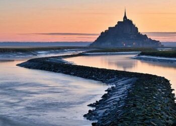 Le néonazisme en France, une menace diffuse et hybride – Le Monde