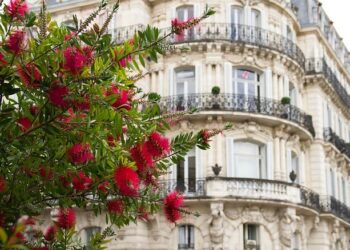 Montpellier dans le Top 4 des villes les plus vegan-friendly de France – Claap