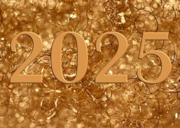 PLF 2025 : vers une baisse de 10 % de la subvention à Business France – LeMoci.com