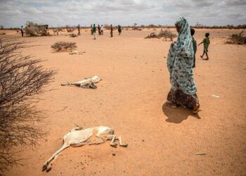 Somalie- Sécurité – France diplomatie Somalie- Sécurité – France diplomatie