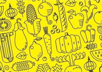 Sécurité sociale de l’alimentation : Paris expérimente à son tour – France Culture