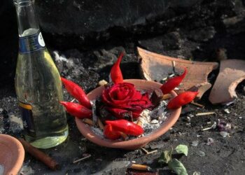 Aidez-moi à faire avancer ce combat : Urgent : Sauvons le dernier Macumba de France à Lille – MesOpinions.com