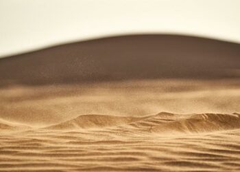 «Dune : Deuxième Partie» dépasse déjà le premier volet au box-office mondial – CNEWS «Dune : Deuxième Partie» dépasse déjà le premier volet au box-office mondial – CNEWS
