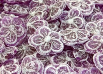 La violette, symbole de Toulouse, sur le nouveau maillot du TFC en collaboration avec Bigflo et Oli – ici, le média de la vie locale