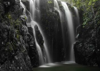 Des êtres étranges et fascinants – France Télévisions