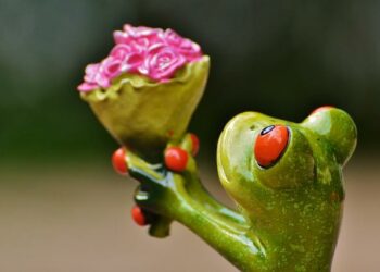 Pardon, Madame de Sagazan – France Inter