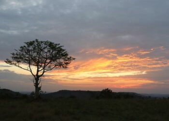Damian Penaud écarté du groupe France ? Jacques Brunel réagit ! – Minute Rugby