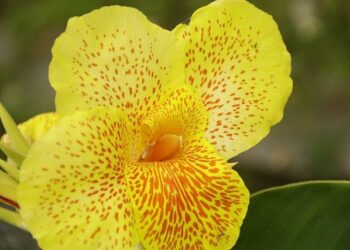 Tennis. ATP : la série exceptionnelle d’Ugo Humbert, victorieux du Tournoi de Marseille – Ouest-France