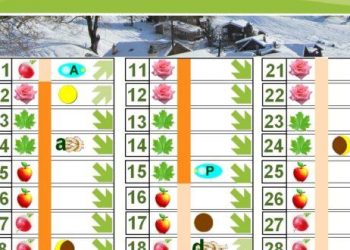 Une belle série, un calendrier « favorable »… Nice veut assumer ses ambitions européennes – RMC Sport