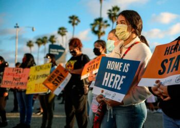 Immigration : les faits plutôt que le ressenti – France Culture