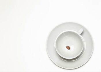 Leaders Cup: « l’épopée formidable » du Mans qui a créé l’immense surprise face à l’ogre monégasque – franceinfo