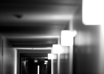 Nos coups de cœur sorties du vendredi 14 au dimanche 16 février – En Commun