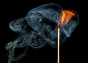 Incidents lors du match Nice-Marseille : l’OGC Nice écope de trois matches de fermeture de tribune – France 3 Régions