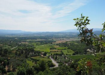 L’ES Thaon face au RC Strasbourg en 16e de finale de la Coupe de France – ici, le média de la vie locale