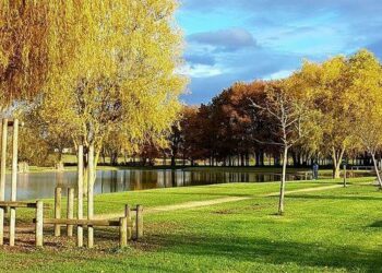 Ligné. Il dédicace son premier roman de science-fiction – Ouest-France