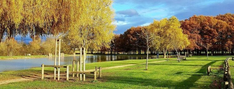 Ligné. Il dédicace son premier roman de science-fiction – Ouest-France