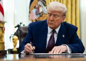 Thomas Ménagé : « La politique de Donald Trump va nous faire énormément de mal » – France Inter