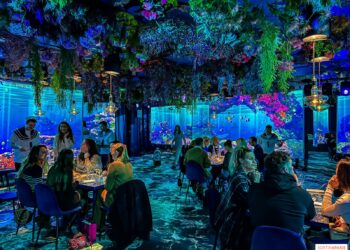 « Ça nous ramène au Japon » : le succès du nouveau restau immersif façon ruelle de Tokyo – Ouest-France