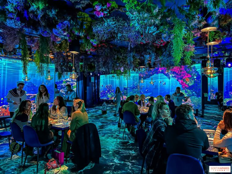 « Ça nous ramène au Japon » : le succès du nouveau restau immersif façon ruelle de Tokyo – Ouest-France « Ça nous ramène au Japon » : le succès du nouveau restau immersif façon ruelle de Tokyo – Ouest-France