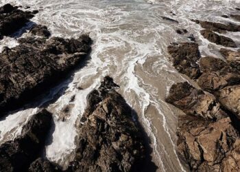 Un appel à témoins en France pour identifier une femme morte en Angleterre, 50 ans après – Le Figaro